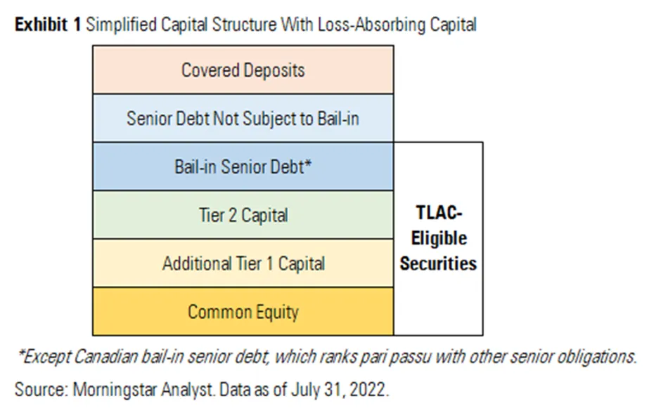 Simplified diagram of capital structure